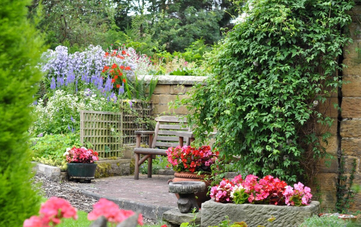 petit jardin