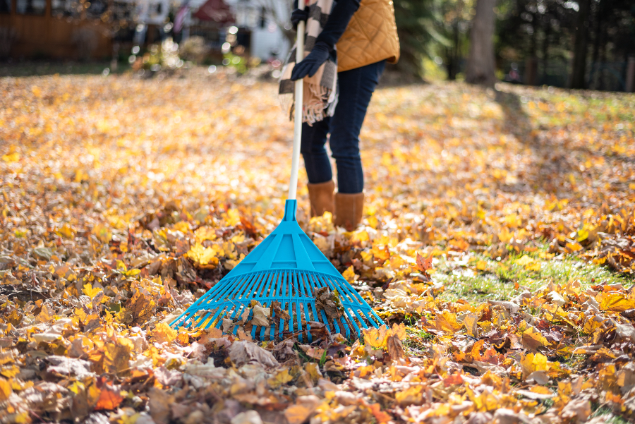 ratissage feuilles